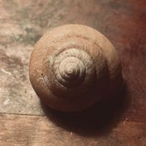 radical_shell