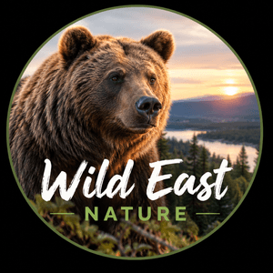 wildeastman
