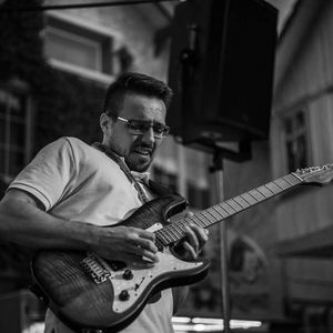 roho_guitar