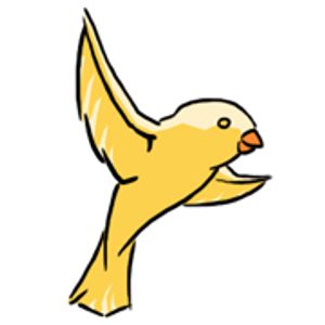 basinthewild