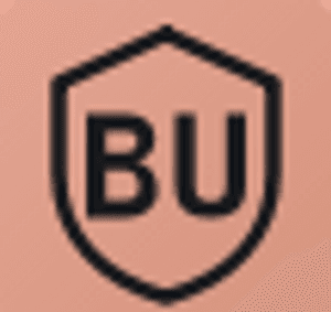 buellsunited
