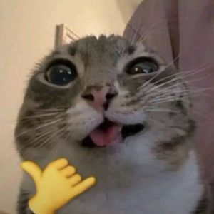 joyalaliyas