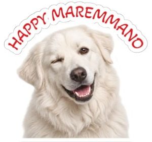 happymaremmano