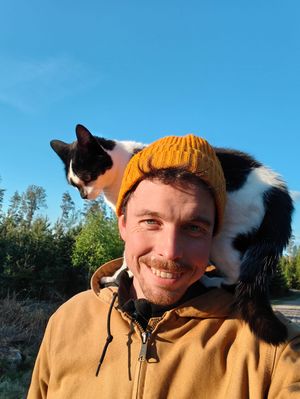 dutchpodcastforbeginners