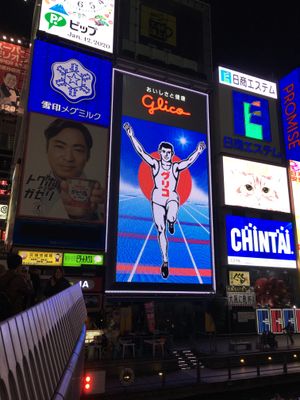 shintravel