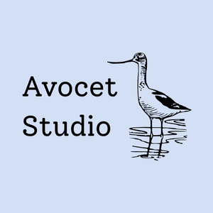 avocetstudio