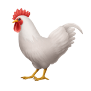 cockledev