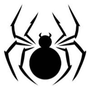 spideraysfonts
