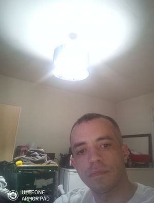 carltracy
