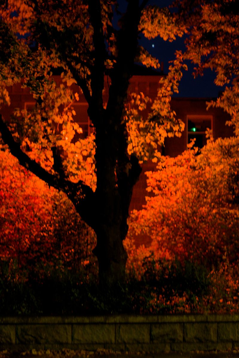 The Burning Hollow