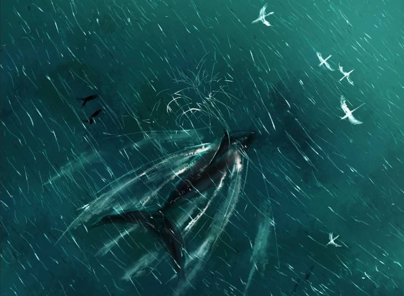 AnoirX's Art/Illustration Contract (Commissions) TOS!
