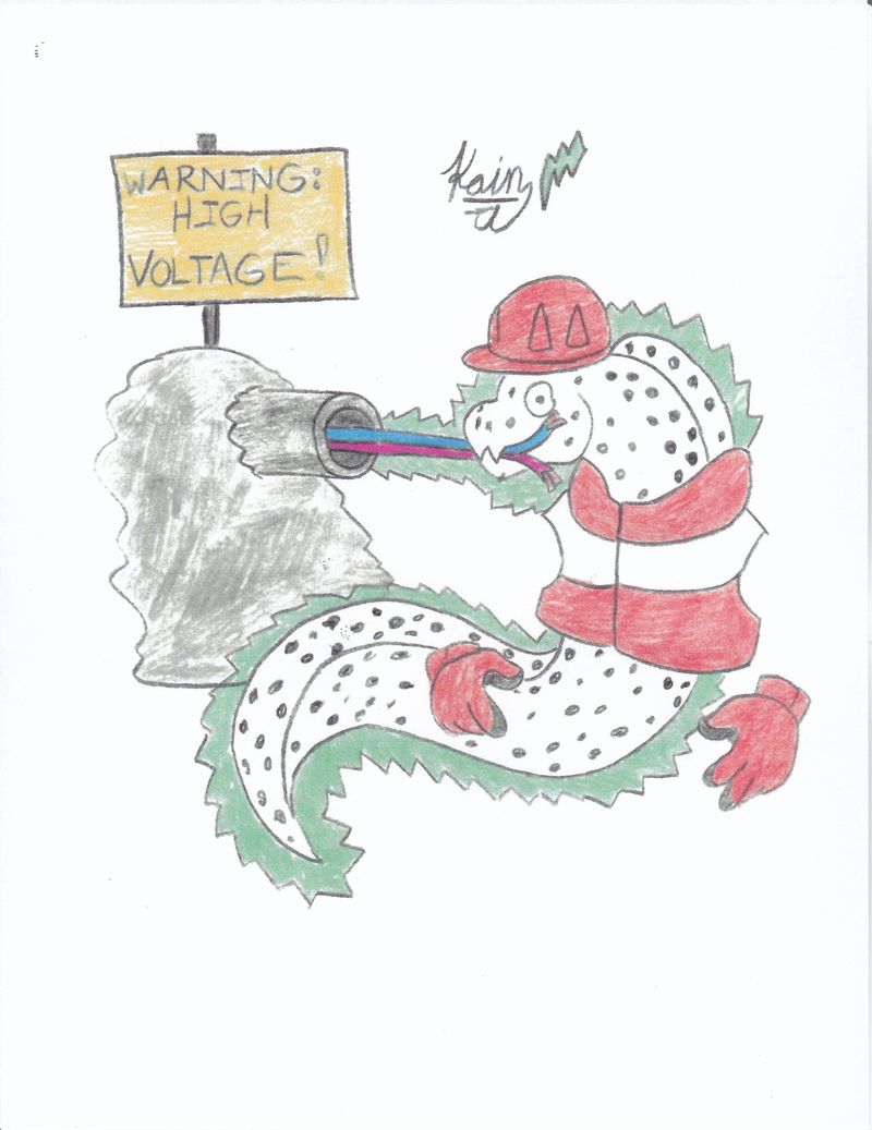 Zookeepers' Union, the Electrician Eels!