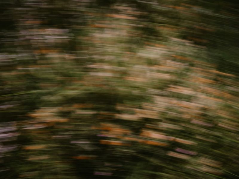 Too Fast