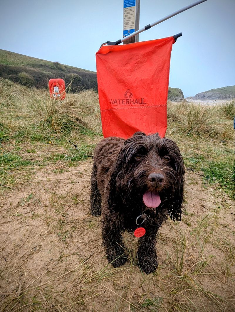 Litter picking