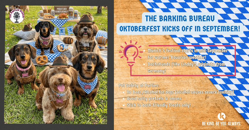 🍺 Oktoberfest Kickoff, German Pet Trivia + Keeping Our Dogs Safe!