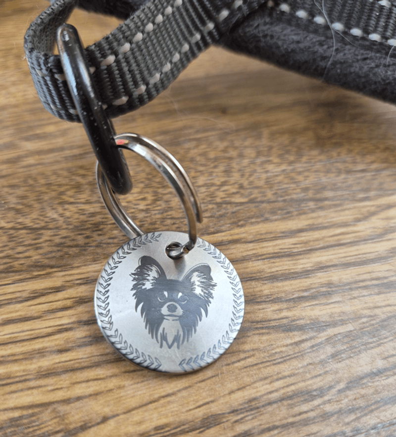 Dog Tag / medaille pour chien, for Lightburn or SVG File