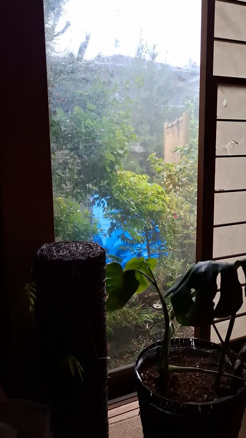 Typhoon Threshold Day! What Next?