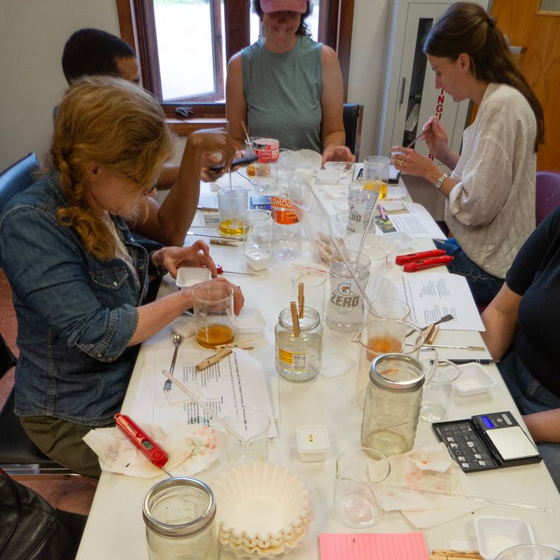 Invasive Plant Pigment workshops Summer 2026