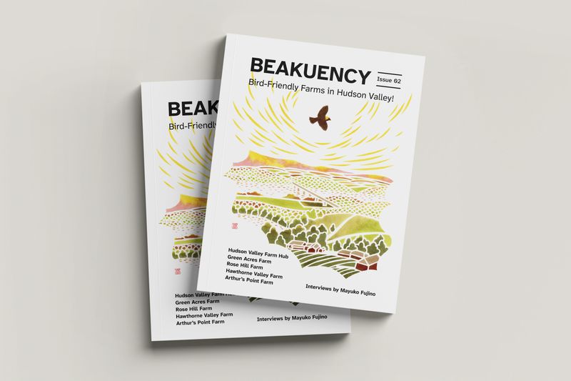 The production of Beakuency zine issue 02 is almost complete!