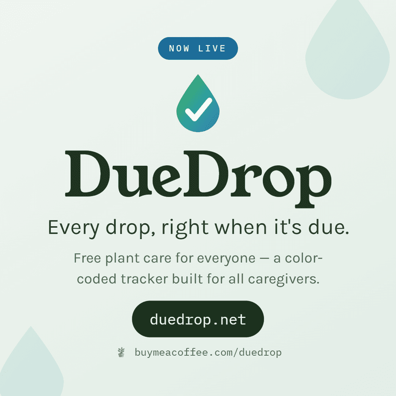 We are live!