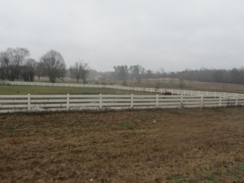 The Horse of My Heart: Remembering Patriot