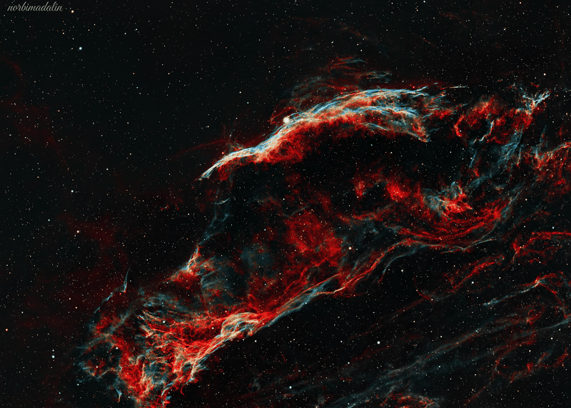 NGC 6960 — Witch’s Broom Nebula 🧹🌌