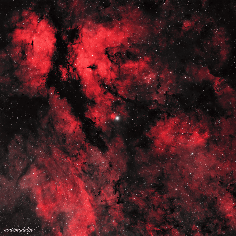IC 1318 — Butterfly Nebula 🦋