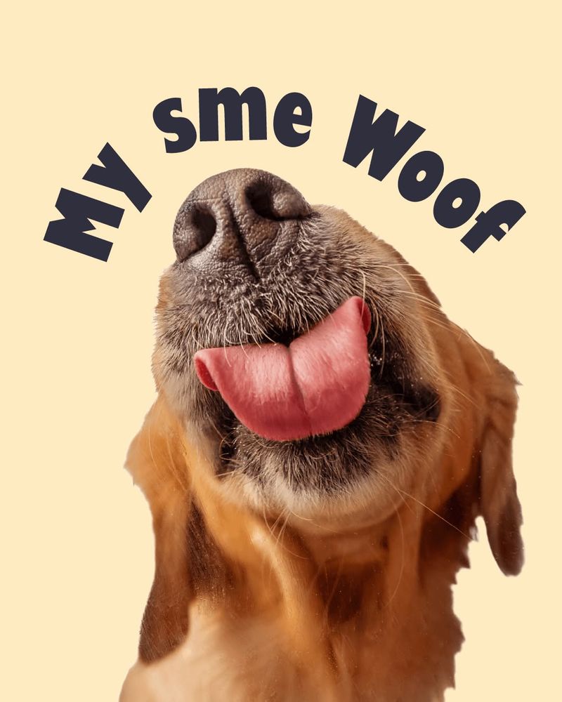 Woof je live!