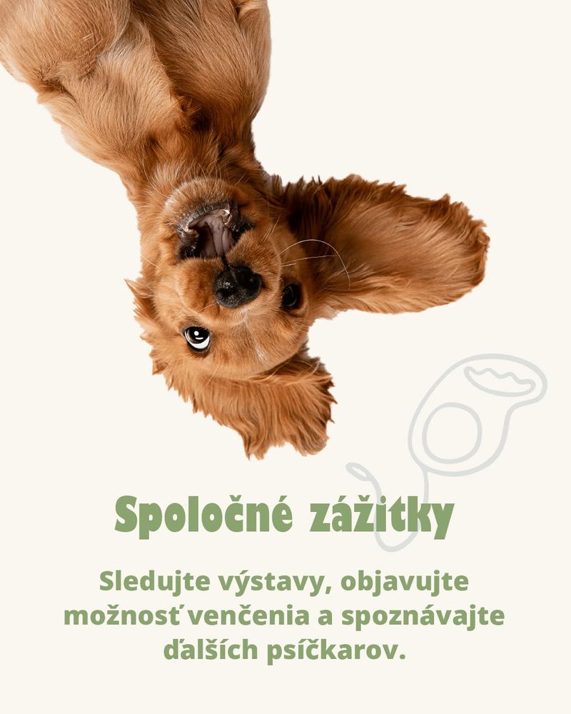 Čo nájdete na Woofe?