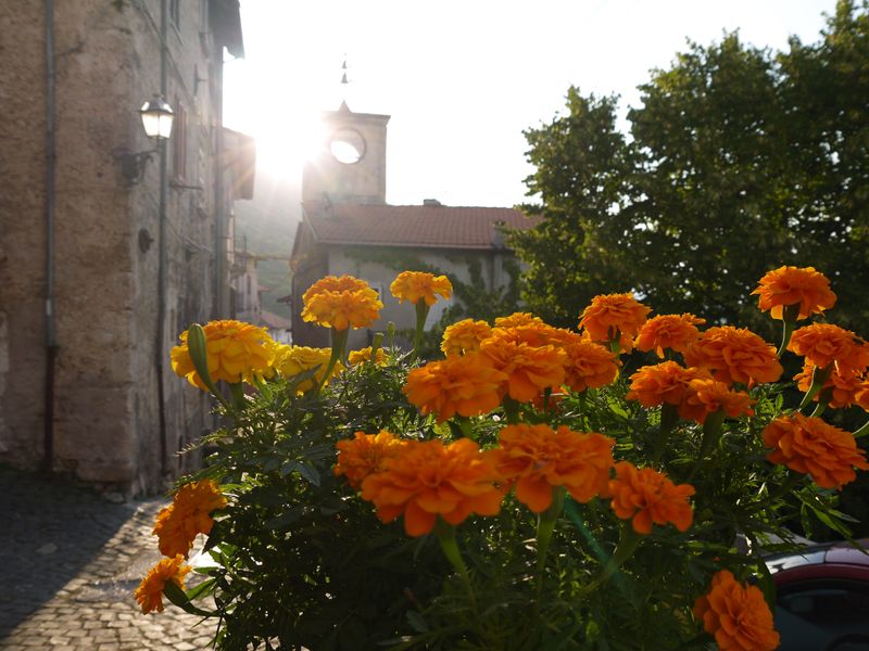 Discover Abruzzo slowly,gently🌿