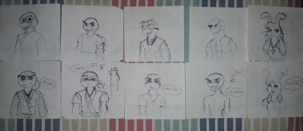 image 5
