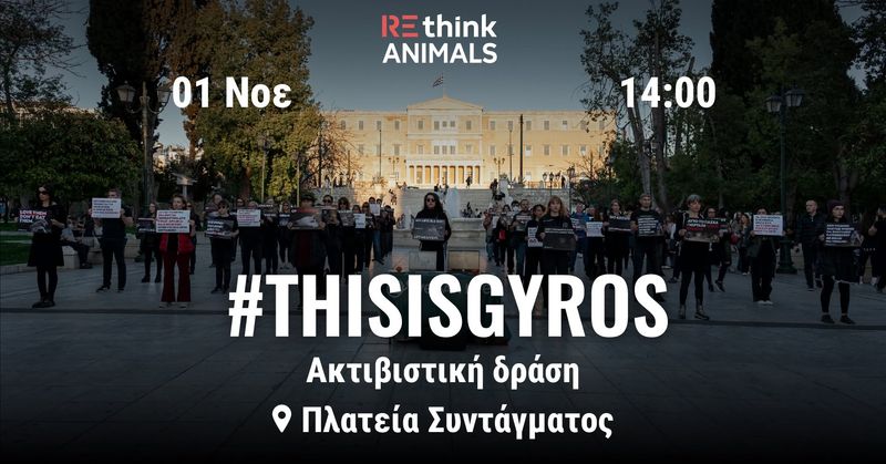 From Investigation to Action: THIS IS GYROS | Από την έρευνα στη δράση