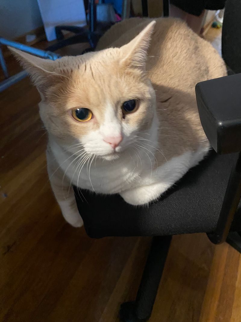 A Spiteful Little Sabrina