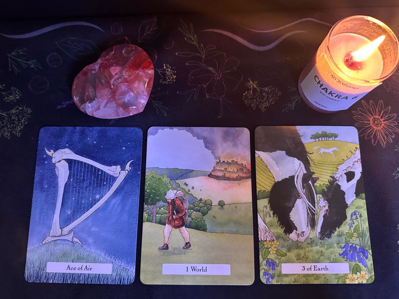 January Full Moon Reading for the Collective
