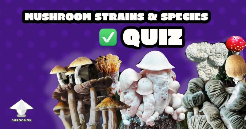 How well do you know Mushroom Strains?