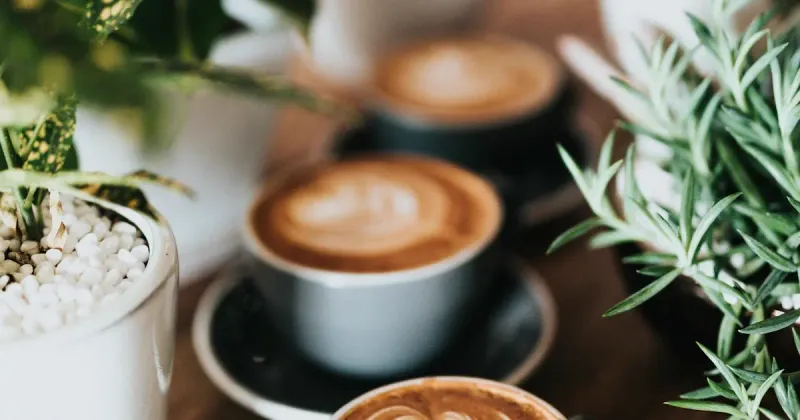Your Last Coffee Isn't the Problem; the First Three Are Still in Your System