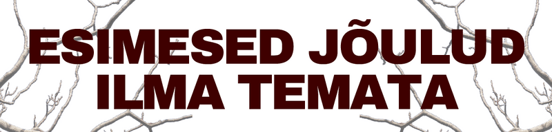 Esimesed jõulud temata