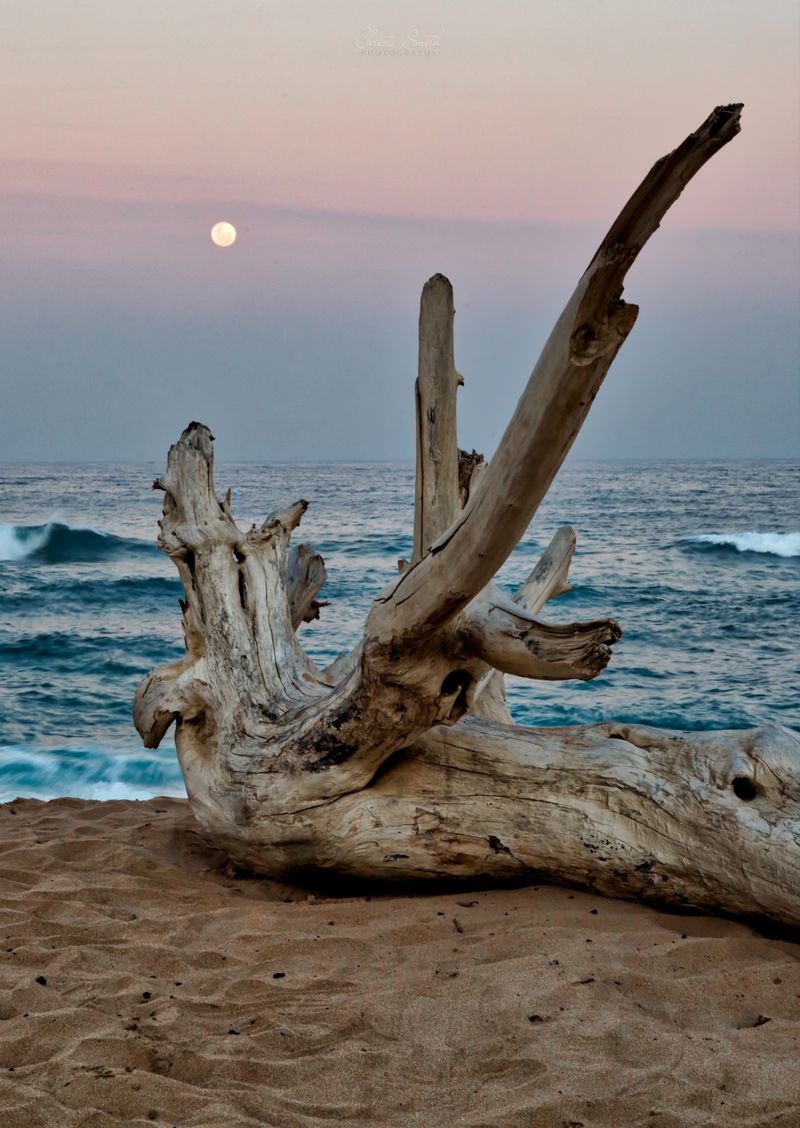 Full Moon Rising over Beachwood Beach