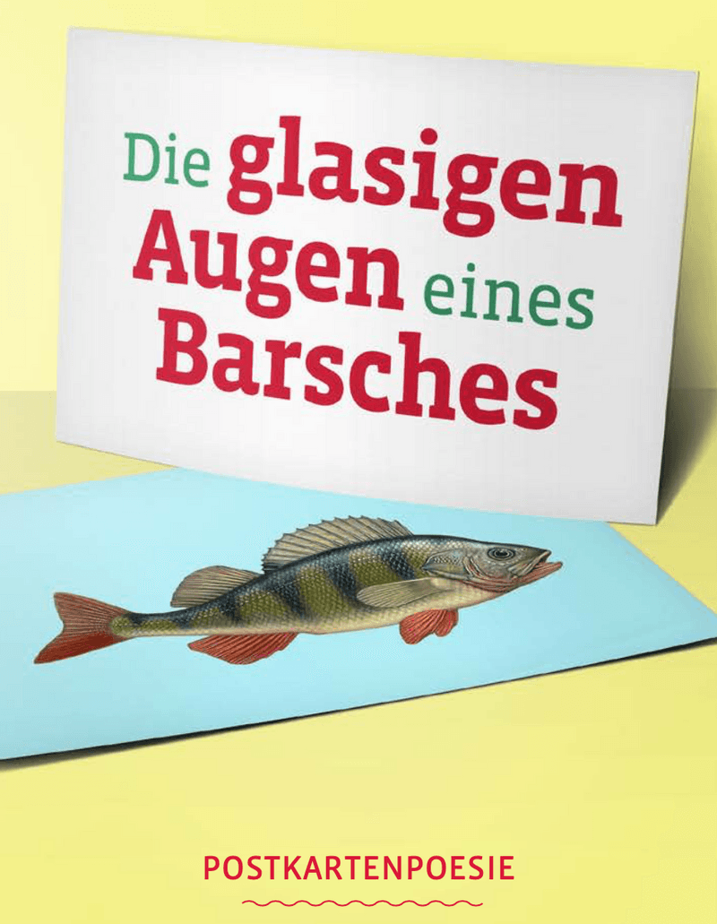 Die glasigen Augen eines Barsches