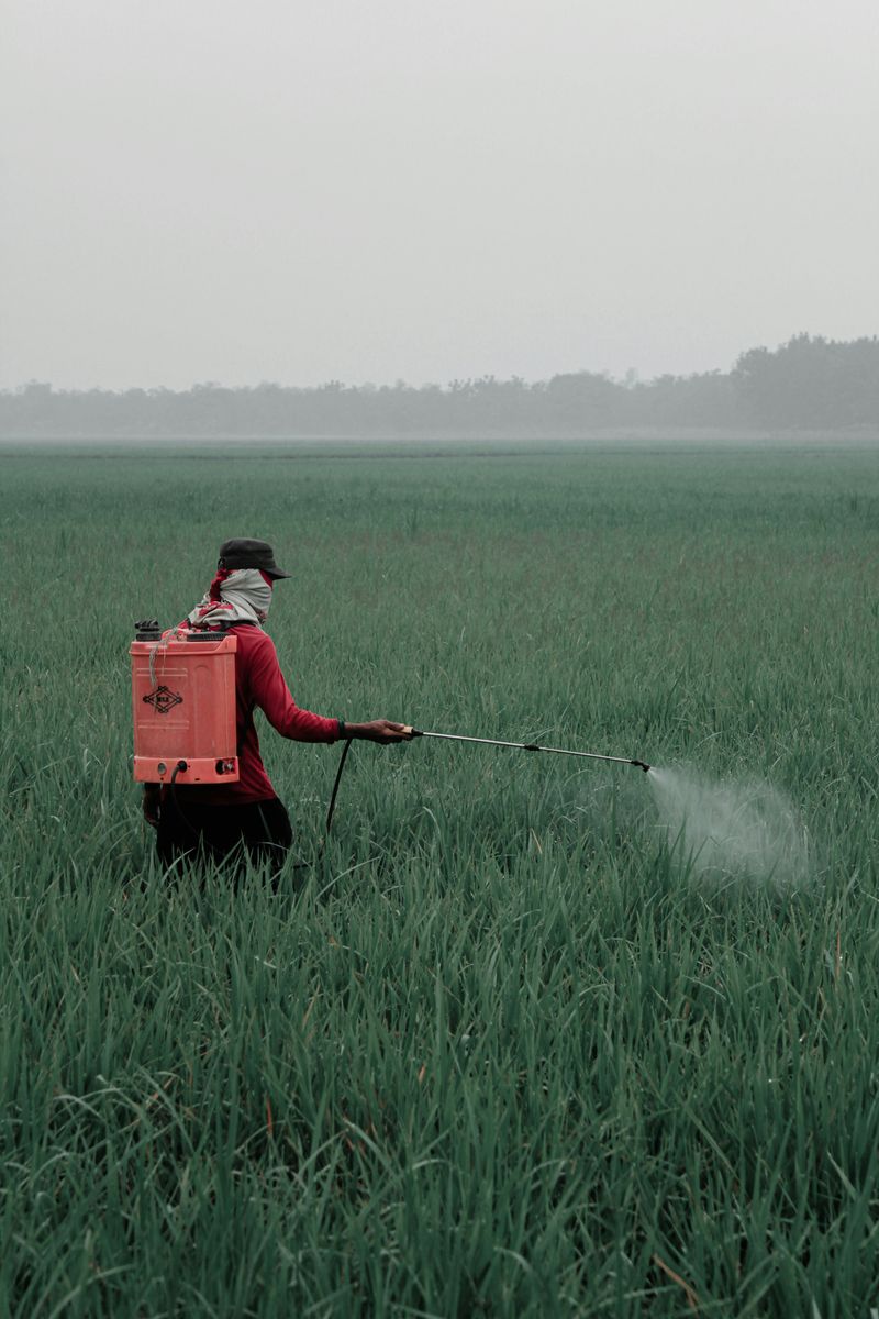 Pesticides