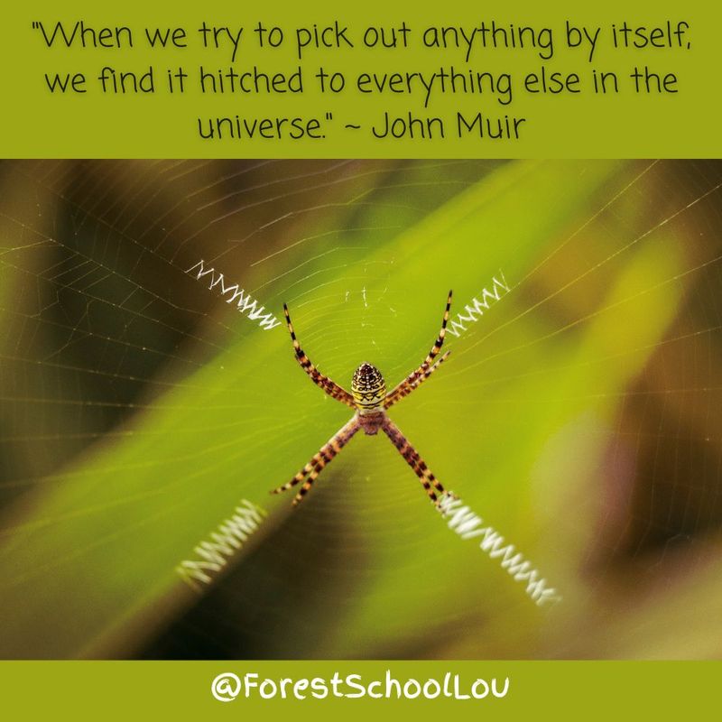 What can Nature teach us about interdependence?
