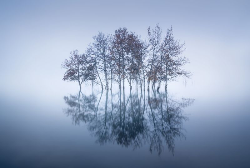 SimpleDisorder.com: Natural & Nature: 01.29.26. (8 Pics)