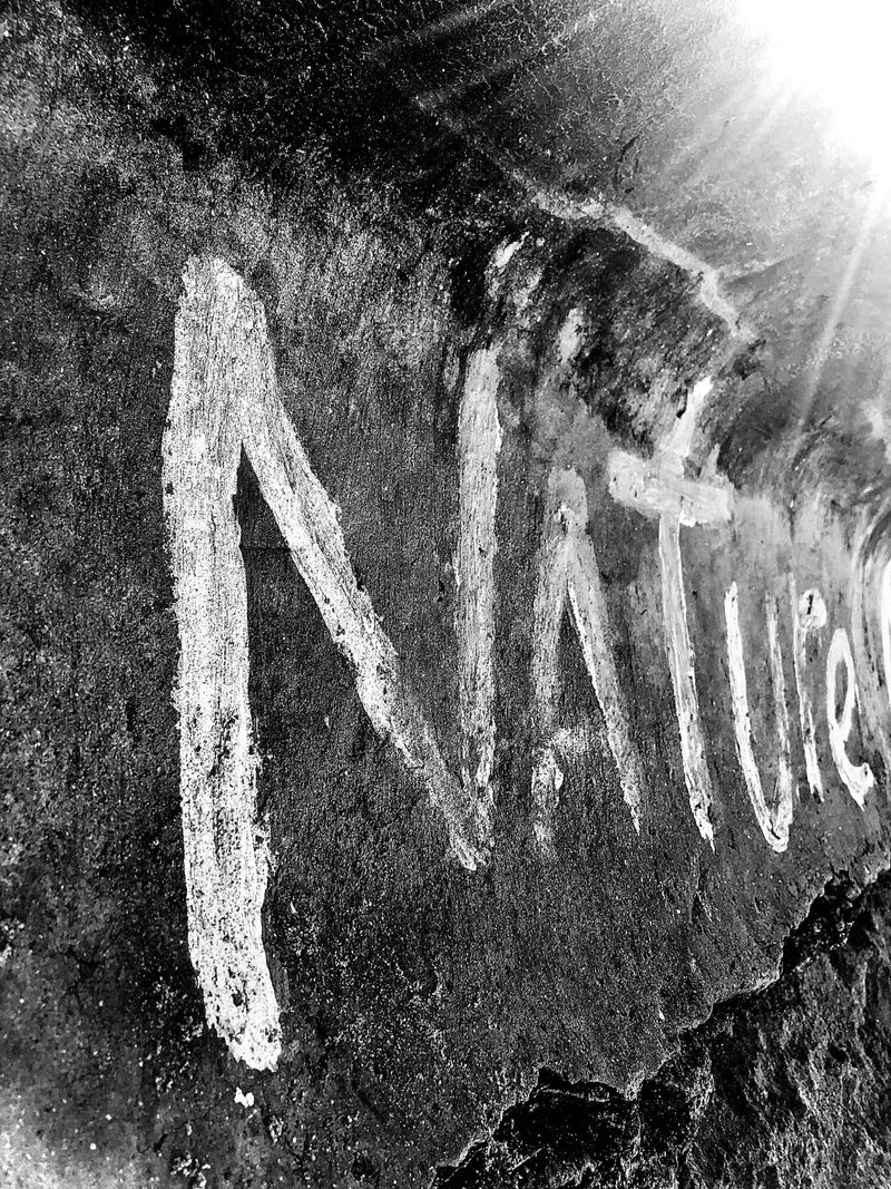 The Fantasy of Authenticity