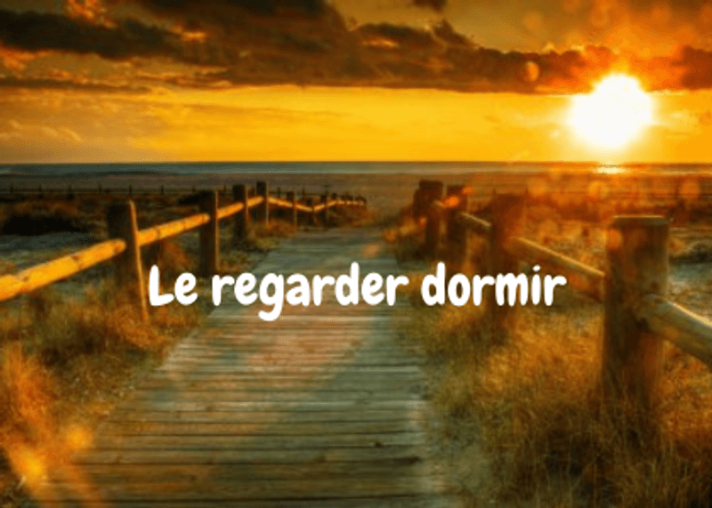 Poème 18 :  Le regarder dormir
