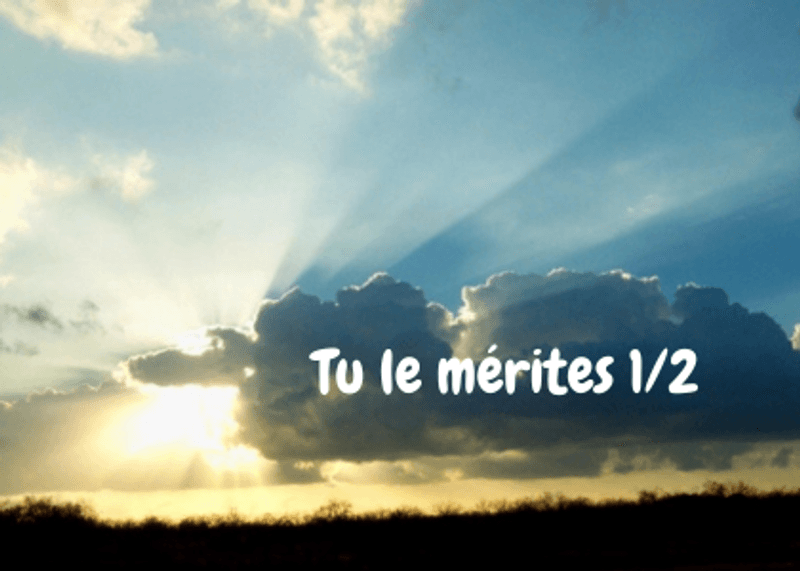 Poème 19 :  Tu le mérites ( partie 1 )