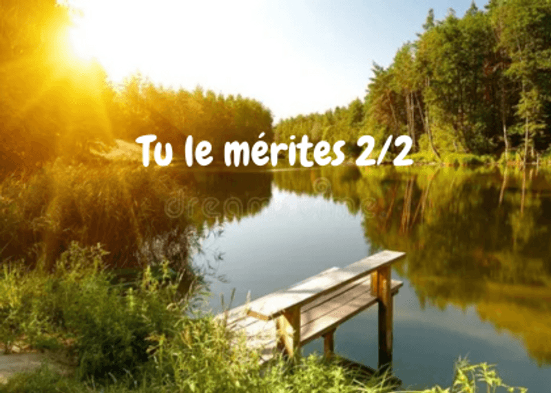 Poème 20 :  Tu le mérites ( partie 2 )