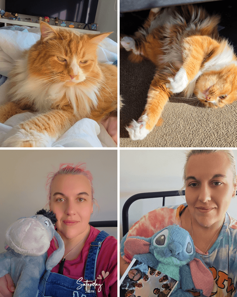 An honest (and a bit urgent) update from Eddie Pie and me...