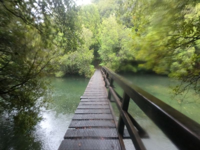 Rakiura Track: Day 3