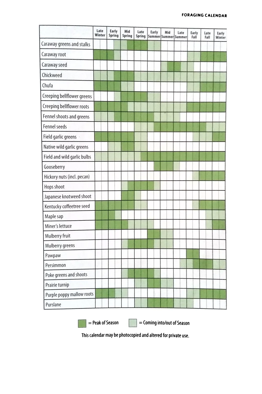 Wild Harvest Calendar — Sparrows Sow Not - Buymeacoffee