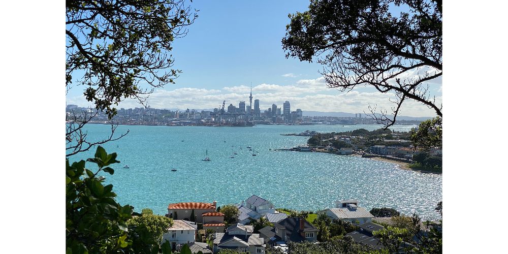 Virtual Tour with Me in New Zealand